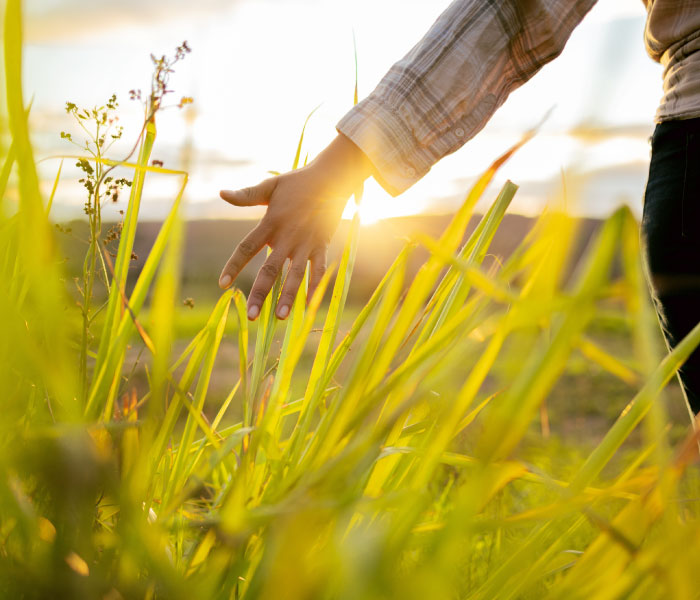 Getting Treatment Help